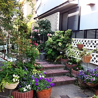 アプローチは全てdiy/高低差のあるアプローチ/季節を感じる暮らし/薔薇が好き♡/手作りの庭...などのインテリア実例 - 2017-05-28 09:06:05