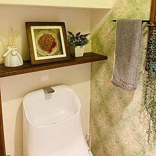 観葉植物 階段下のトイレのおしゃれなアレンジ 飾り方のインテリア実例 Roomclip ルームクリップ