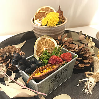 ダイソー ドライフルーツのインテリア実例 Roomclip ルームクリップ