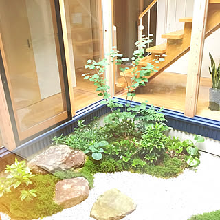 飛び石 和風の庭のインテリア実例 Roomclip ルームクリップ
