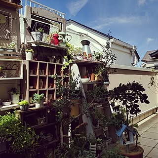 ベッド周り/NO GREEN NO LIFE/古いもの/朝の1枚/いただきものいっぱいです("Ü")...などのインテリア実例 - 2016-07-10 09:35:31