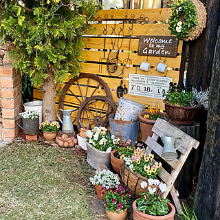 ビオラ ピンクコアラのインテリア実例 Roomclip ルームクリップ