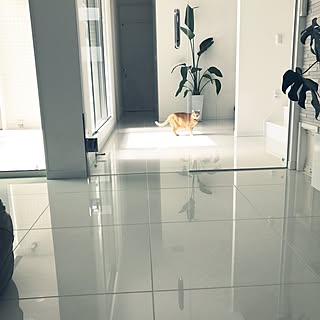 床タイル張りのインテリア実例 Roomclip ルームクリップ