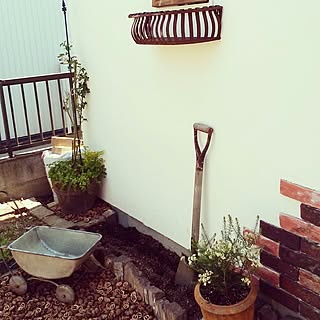 お買い得モデル ご専用 多肉植物の寄せ植え 大きめ手押し車 Dai 1 Kurai Kakutoku インテリア小物