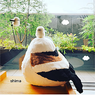 宝物/ありがとうございました/空飛ぶシマエナガ/anzさんのシマエナガ/ミンネで購入...などのインテリア実例 - 2020-07-12 10:47:17