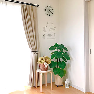 壁/天井/IKEAのスツール/IKEAのランタン/IKEA/ウンベラータ...などのインテリア実例 - 2018-09-01 16:10:23