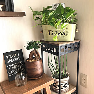 観葉植物のある暮らし/花台リメイク/niko and…/ポトス/手書きプレート...などのインテリア実例 - 2020-02-24 13:00:13