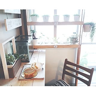 机/植物/団地/DIY/飲兵衛部...などのインテリア実例 - 2015-11-18 09:46:01