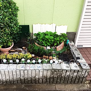 貝殻 花壇のインテリア実例 Roomclip ルームクリップ