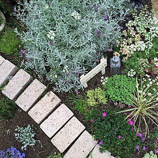 ベッド周り/ガーデンサイン/ランタン/植物/手作りの庭...などのインテリア実例 - 2016-05-30 19:13:45