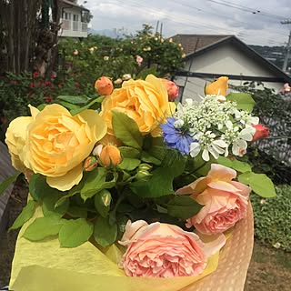 玄関/入り口/日々の暮らし/素敵なお宅がいっぱいですね/みなさんのお家のこだわりに感心しています/向かいの山肌...などのインテリア実例 - 2017-05-13 23:06:38