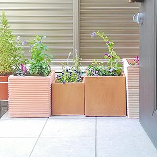 玄関/入り口/花 /フラワーベース/シンプルモダン/フラワー/和モダン...などのインテリア実例 - 2015-08-11 16:14:26