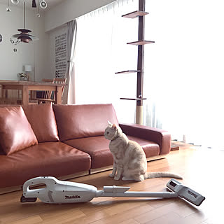 ソファ下の掃除のインテリア実例 Roomclip ルームクリップ