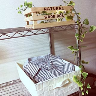 棚/100円SHOPのインテリア実例 - 2012-10-04 01:00:57