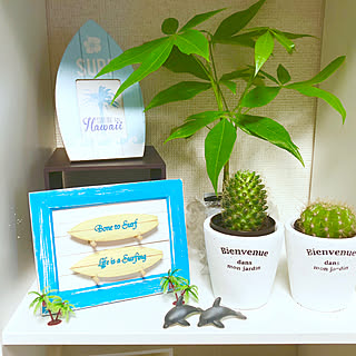棚/inoo さんの作品/ミンネで購入❤/RCの出会いに感謝♡/サーフボードオブジェ...などのインテリア実例 - 2018-06-11 23:27:01