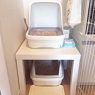 リビング/猫トイレ/IKEA/猫との生活/ねこと暮らすのインテリア実例 - 2016-02-21 16:01:06