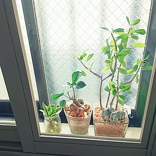 棚/同棲/同棲生活/おうちが好き/微妙な間取り…...などのインテリア実例 - 2017-06-06 12:17:51