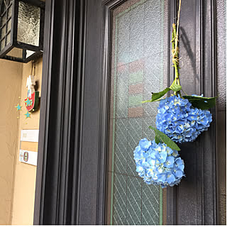 玄関 入り口 金運アップのインテリア実例 Roomclip ルームクリップ