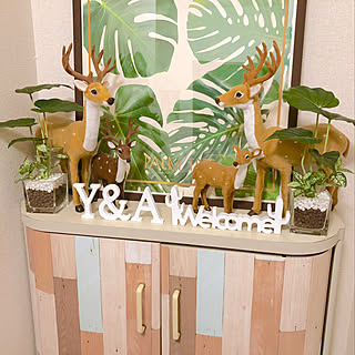 玄関/入り口/ニトリ/B2ポスター/観葉植物のある暮らし/モンステラ♡...などのインテリア実例 - 2018-10-17 17:52:09