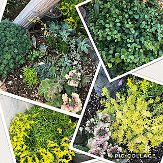 バーベナ ラナイ ヴィンテージウォッカのインテリア実例 Roomclip ルームクリップ