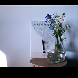 フランネルフラワー デルフィニウムのインテリア実例 Roomclip ルームクリップ