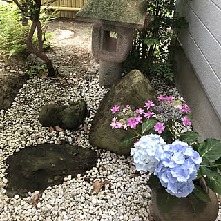 坪庭 和風のインテリア実例 Roomclip ルームクリップ