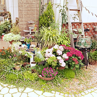 コットンキャンディ 紫陽花のインテリア実例 Roomclip ルームクリップ コットンキャンディ 紫陽花のインテリア実例 Roomclip ルームクリップ