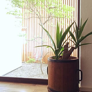 斗枡