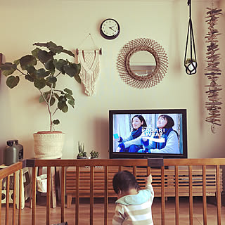 ナチュラル/観葉植物/フェイクグリーン/多肉植物/リビング...などのインテリア実例 - 2020-01-15 14:22:36