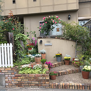 ピエールドゥロンサール バラアーチのインテリア実例 Roomclip ルームクリップ