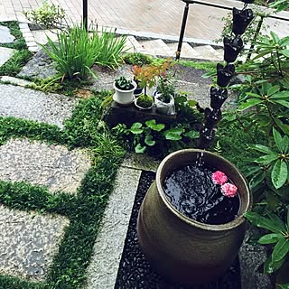 和風な庭のインテリア実例 Roomclip ルームクリップ