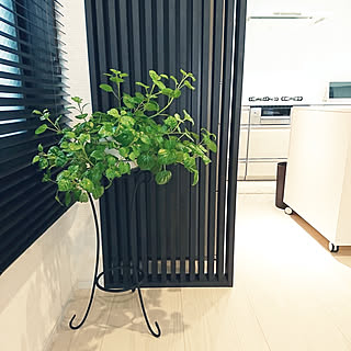 部屋全体/スウェーデンアイビー/RCの出会いに感謝♡/いいね、フォロー本当に感謝です♡/感謝♡感謝♡感謝♡...などのインテリア実例 - 2019-02-20 14:00:18