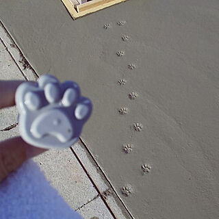 猫 足跡のインテリア実例 Roomclip ルームクリップ