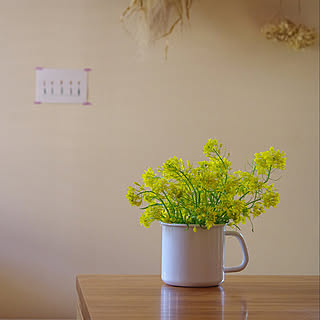 水菜の花のインテリア実例 Roomclip ルームクリップ