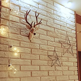 Other、家族住まいの「壁/天井」についてのインテリア実例