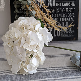 ドライフラワー シリカゲルドライフラワーのおしゃれなアレンジ 飾り方のインテリア実例 Roomclip ルームクリップ ドライフラワー シリカゲルドライフラワーのおしゃれなアレンジ 飾り方のインテリア実例 Roomclip ルームクリップ