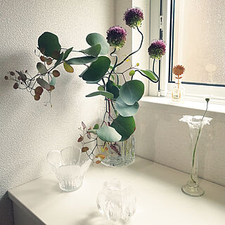 花瓶 アリウムのインテリア実例 Roomclip ルームクリップ