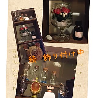 TV周り/瓶詰め/ガチャポン/リクガメ/ブリザードフラワー...などのインテリア実例 - 2013-09-27 00:13:34