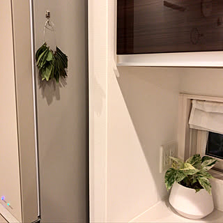 ハーブ/香辛料/スパイス/こんばんは♪/コメントお気遣いなくです❤︎...などのインテリア実例 - 2019-01-19 21:00:01