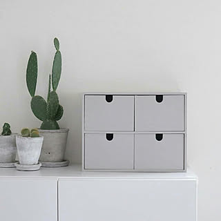 植木鉢/植物/サボテンのインテリア実例 - 2018-05-18 17:44:25