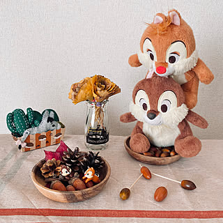棚 チップとデールのインテリア実例 Roomclip ルームクリップ