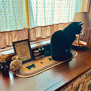 ネコ テーブルランナーのインテリア実例 ｜ RoomClip（ルームクリップ）