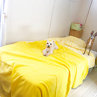 娘の部屋 改造計画/2019.5.7☀️/リネン/ベルメゾンのベッド/IKEAのベッドカバー...などのインテリア実例 - 2019-05-07 10:48:43