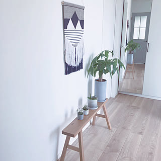 タペストリー/2019.3月/狭い部屋 /グレー好き♡/植物のある暮らし/こどもと暮らす。...などのインテリア実例 - 2019-03-01 21:09:59