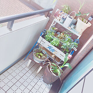 多肉植物 狭いベランダgardenのインテリア実例 Roomclip ルームクリップ