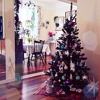 リビング/クリスマス/コンテスト参加中のインテリア実例 - 2013-12-05 12:37:09