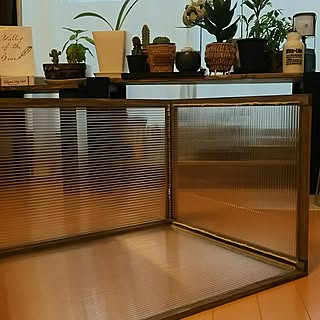 簡易温室diyのインテリア 手作りの実例 Roomclip ルームクリップ