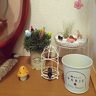 100均 森のインテリア実例 Roomclip ルームクリップ 100均 森のインテリア実例 Roomclip ルームクリップ