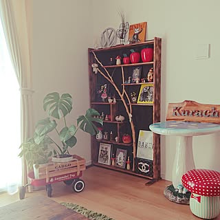 リビング/考え中/飾り棚/DIY/キノコのインテリア実例 - 2017-06-15 10:43:25