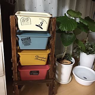 棚/トーちゃん片付け頑張るぞー!/足の裏に滑り止め2個しかないと!/傷を付けるな!いうね!(՞ټ՞☝/後でステンシルするぞ!(՞ټ՞☝...などのインテリア実例 - 2017-05-06 00:25:04